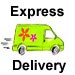Rush Delivery $12.00